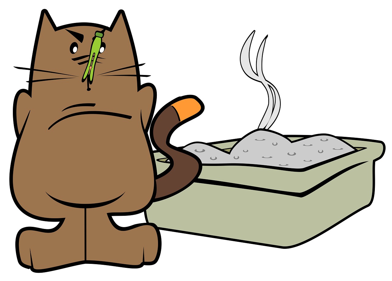 What To Do About Litter Box Accidents